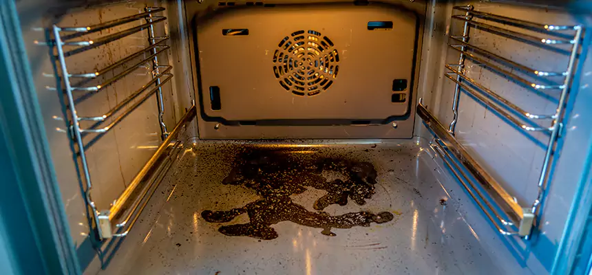 Our Dryer Vent Mold Cleaning Services in Merrifield, VA