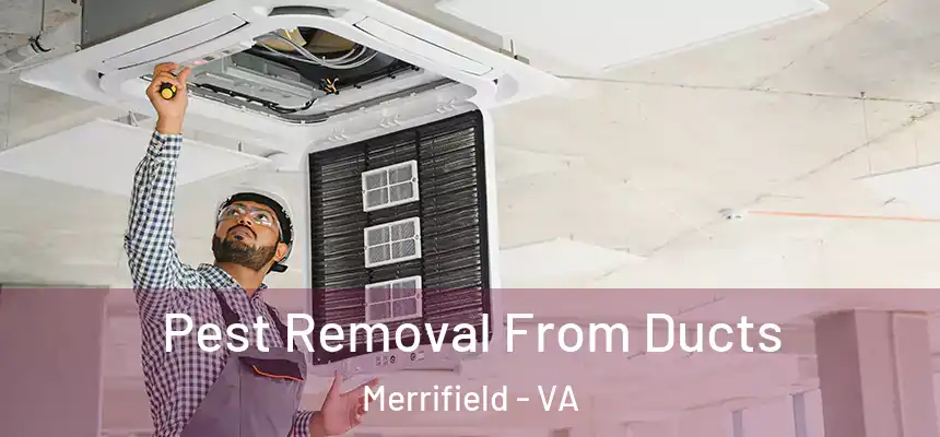  Pest Removal From Ducts Merrifield - VA
