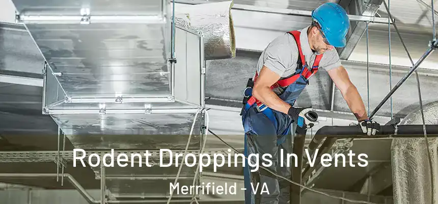  Rodent Droppings In Vents Merrifield - VA
