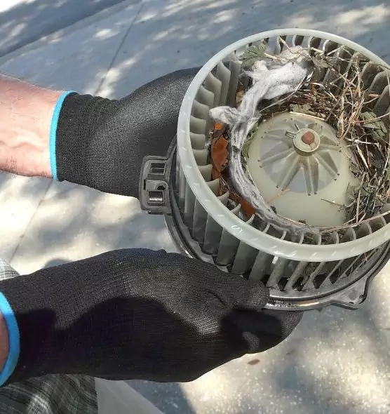 About Air Duct Mice Removal in Merrifield, VA