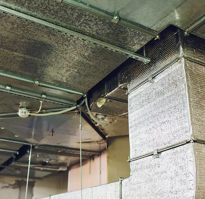 Why Homeowners & Businesses Trust Us in Merrifield, VA?